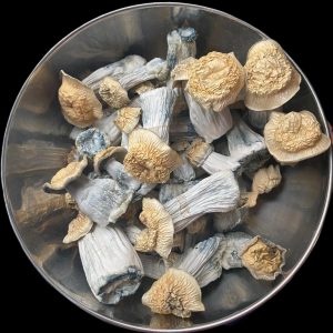 Buy Psilocybin mushroom online in Australia - High-quality, pure Psilocybin mushroom for spiritual and psychedelic experiences. Discreet shipping and secure transactions guaranteed.