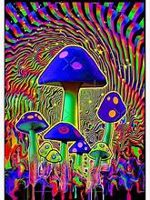 Buy psychedelics safely in Griffith with MedMart Chemstore.